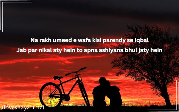 Mohabbat-Shayari-2-Lines-in-Urdu