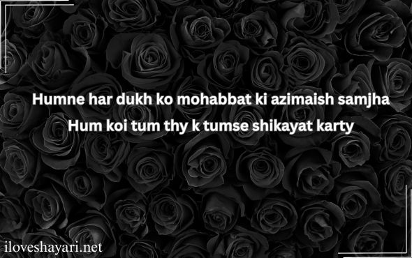 Mohabbat-Shayari-in-Urdu-English