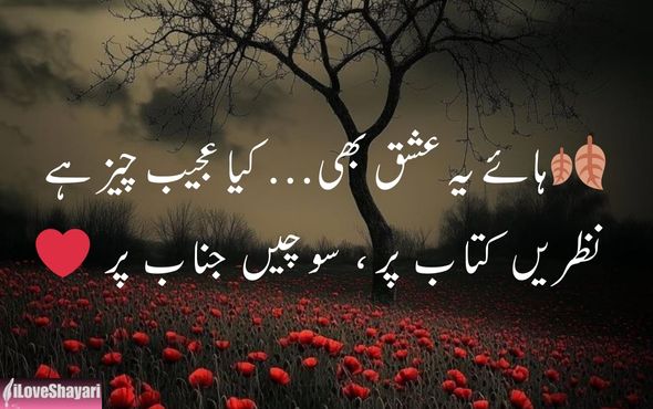 Stylish-Shayari-English-2-Line