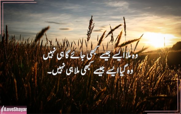 Motivational-English-Shayari