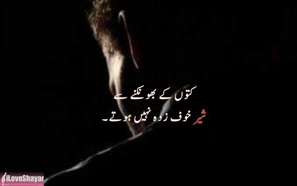 Poetry-for-Success-Motivation-in-Hindi