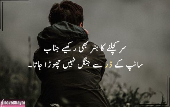 Motivational-Shayari-for-Success