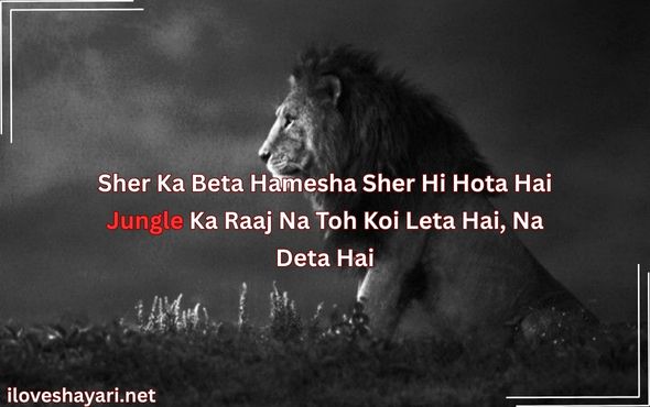 Shayri-in-Hindi