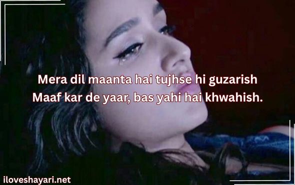 Sorry-Shayari-in-English