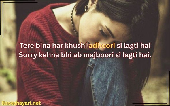 Sorry-Shayari-in-Urdu-Text